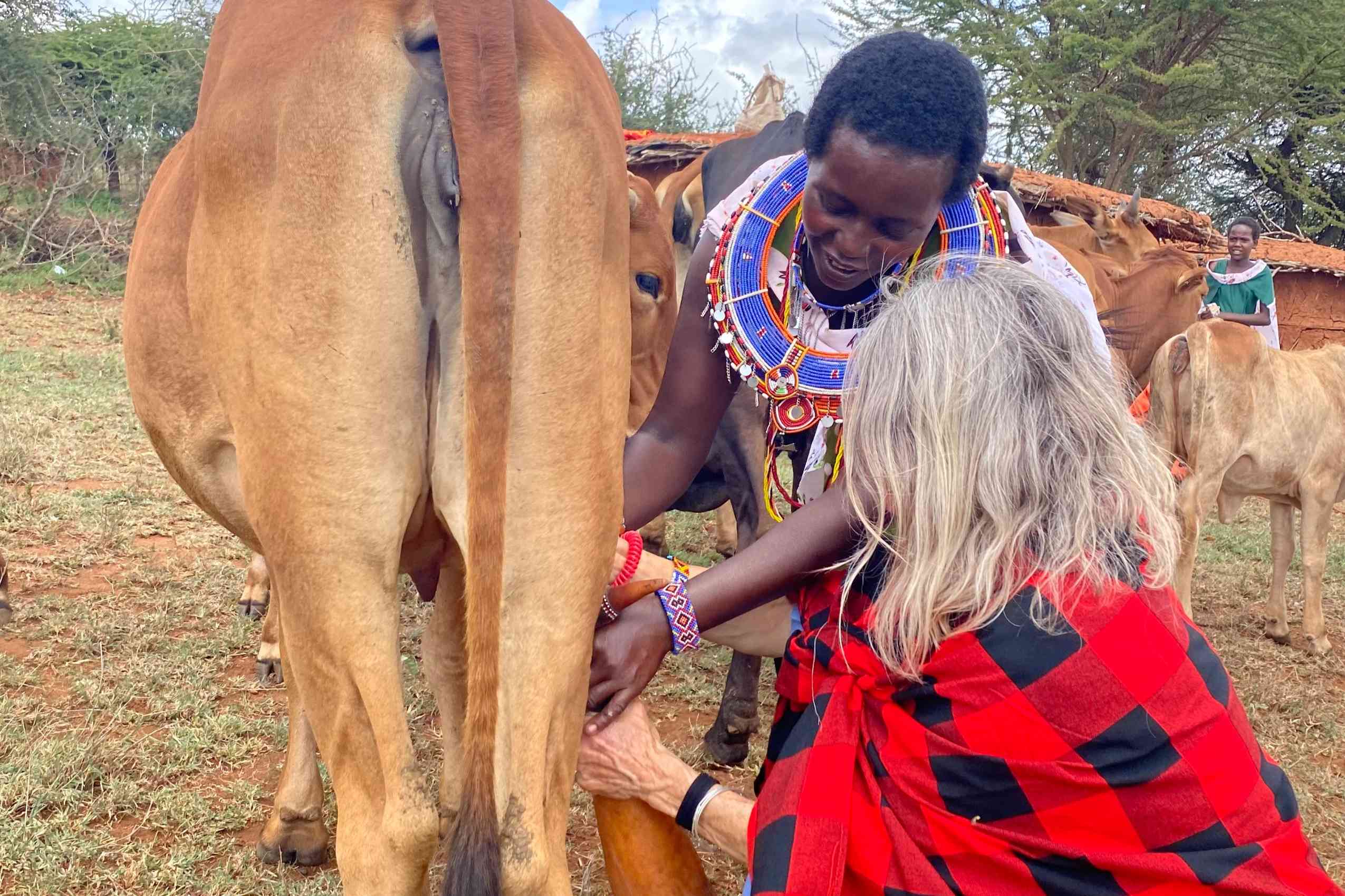 Connect with Kenya's Social Good Experience