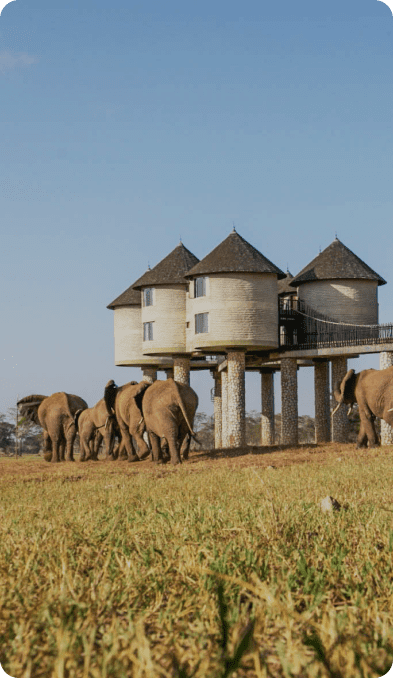 Samburu Sopa Lodge