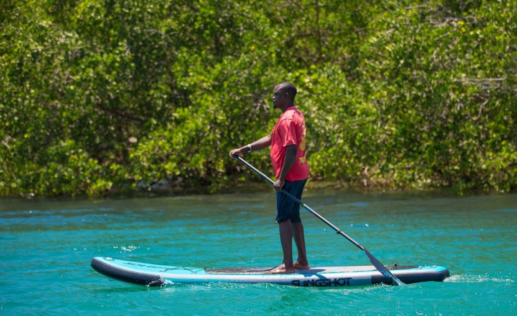 Stand Up Paddle Boarding With Dolphins