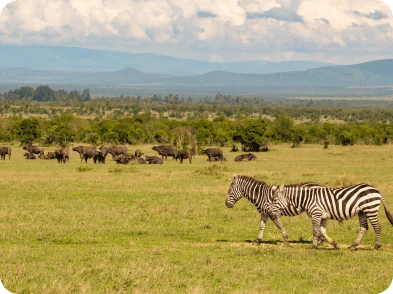 Loisaba Tented Camp