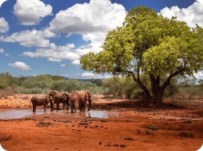 Amboseli Sopa Lodge