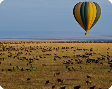 Kilimanjaro Balloon Safaris