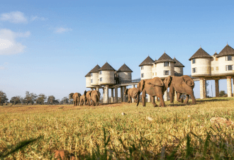 Salt Lick Lodge