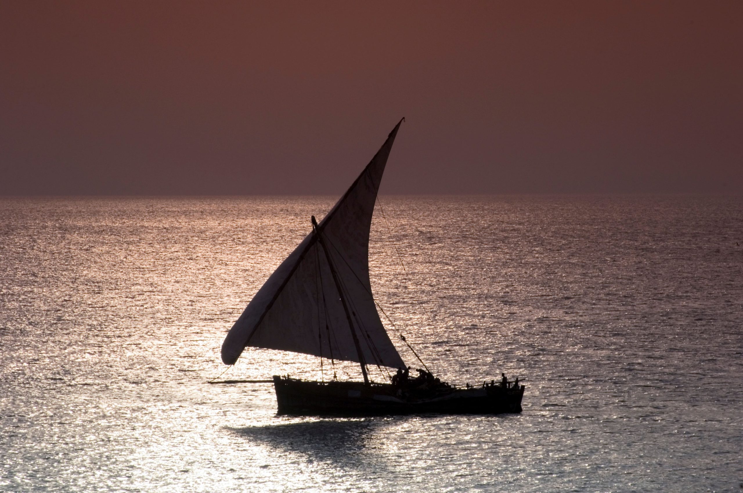 Dhow Sailing