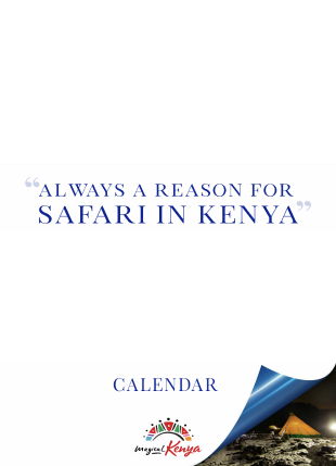 A Reason for Safari Calender