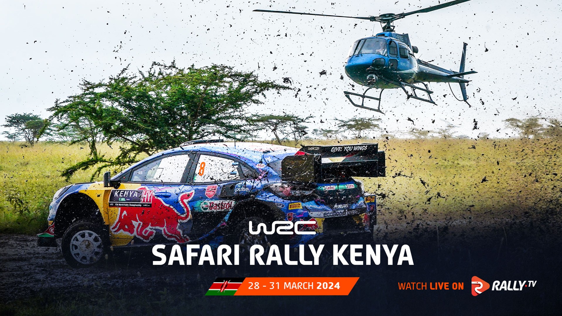 World Safari Rally