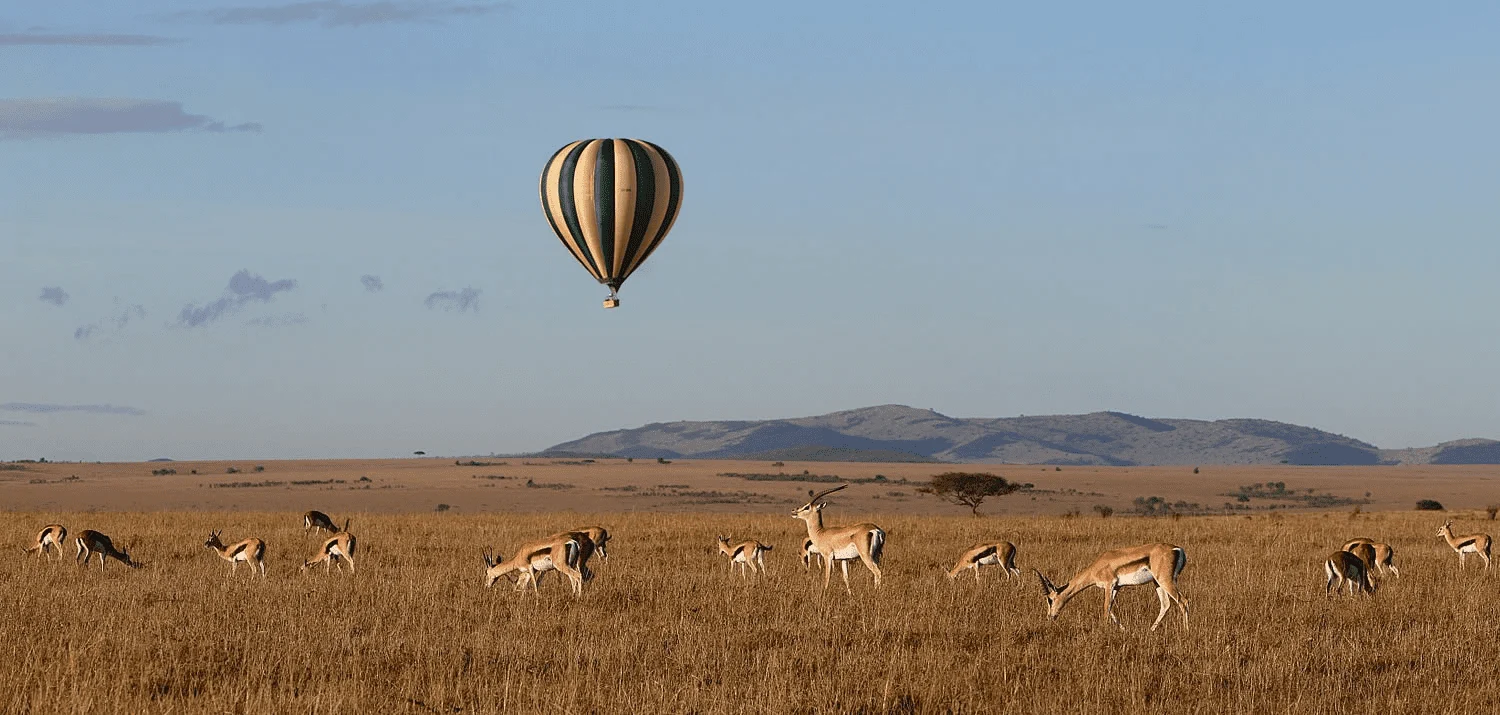 Hot Air Ballooning in Mara wilder group