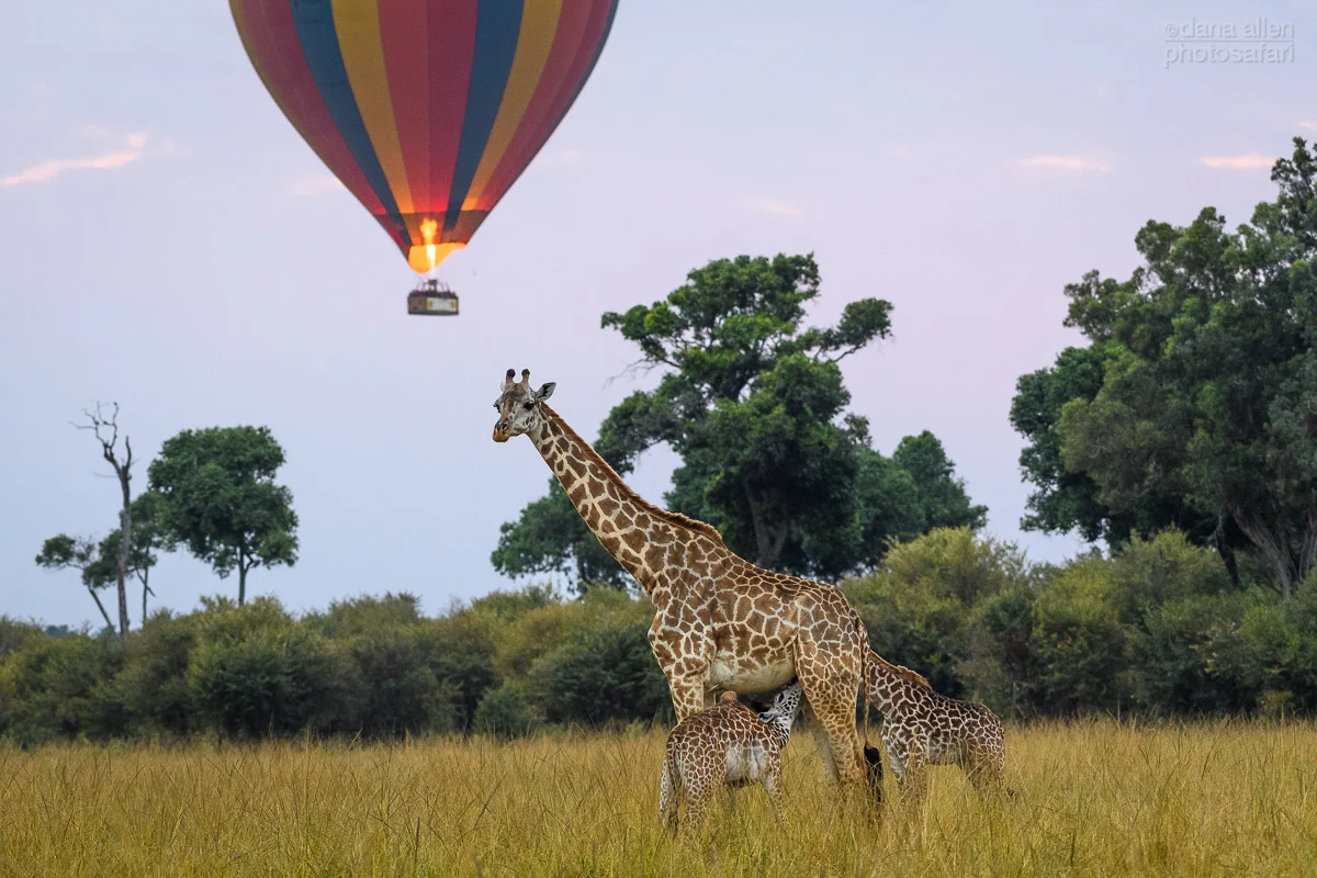 Mara Balloon Temp