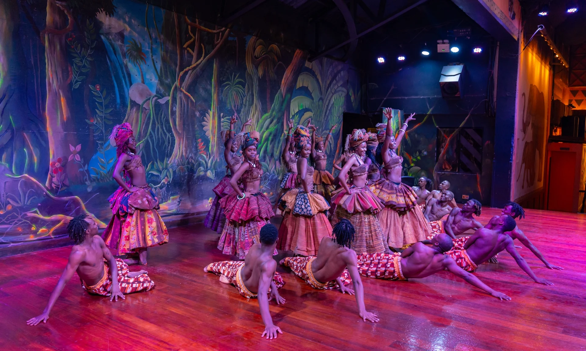 Safari Cats Dancers.
