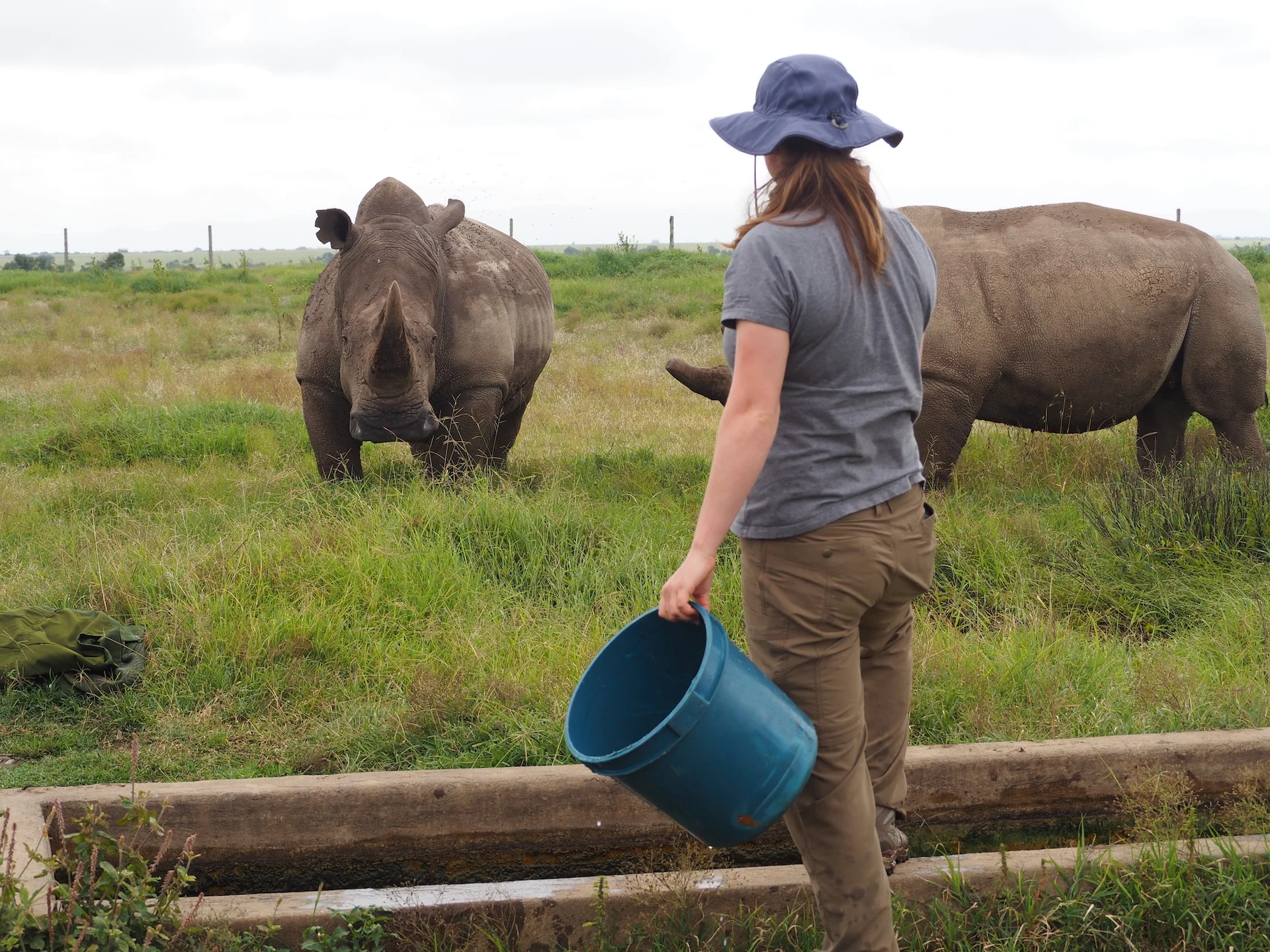 ol pejeta